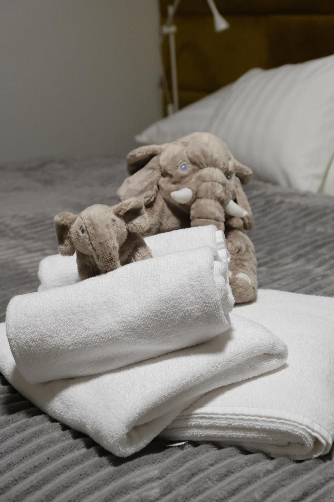 Dolní Morava Apartmany U Lesa חדר תמונה